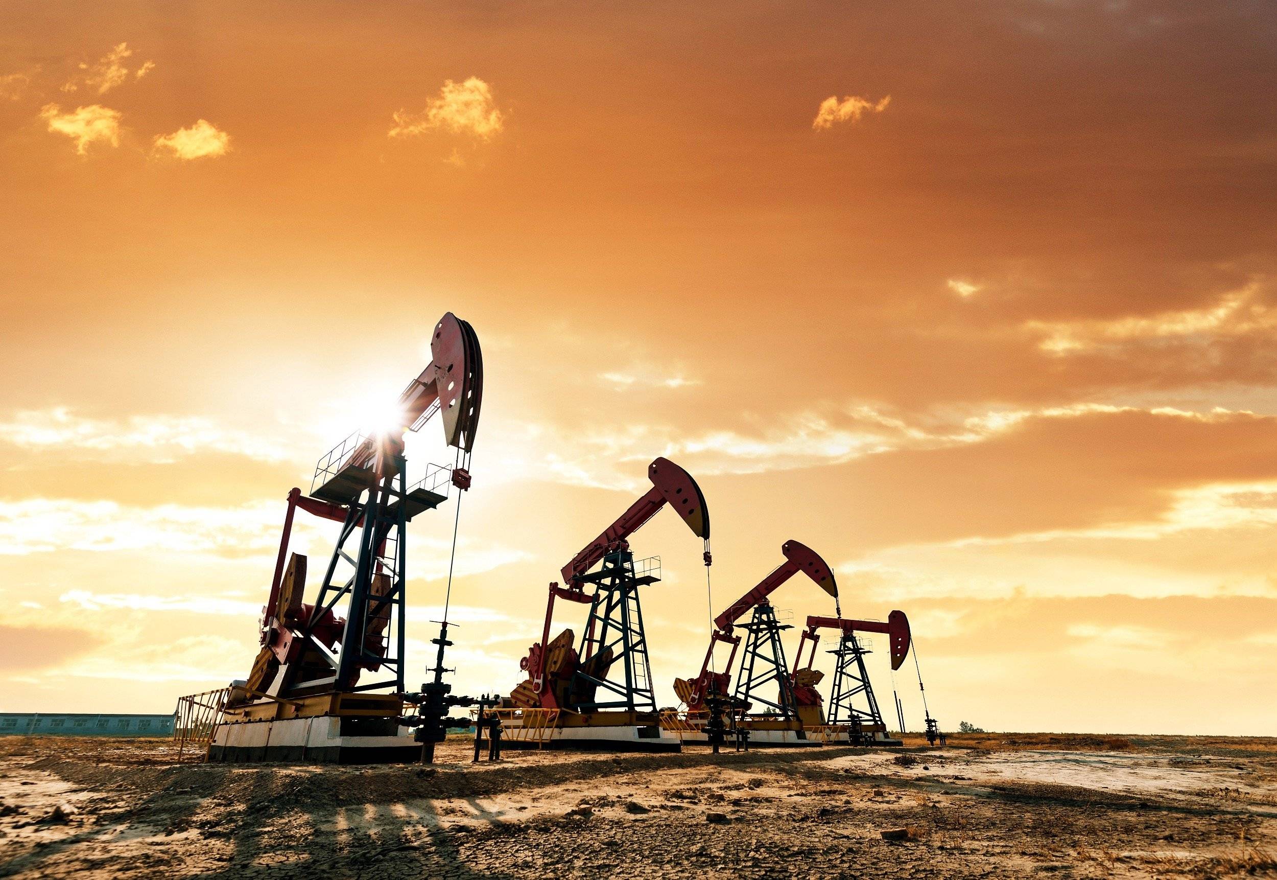 55b924d8289c425c854bea7518fcff12.jpeg 55b924d8289c425c854bea7518fcff12.jpeg